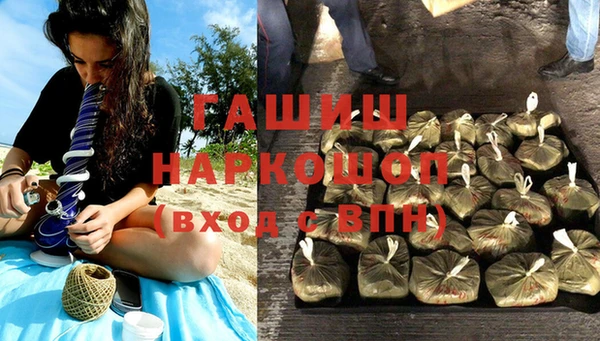 стаф Алексин