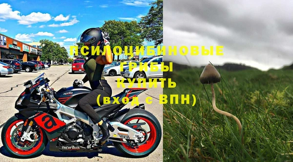 стаф Алексин