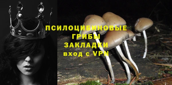 ECSTASY Алексеевка