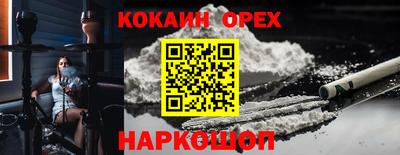 гашик Ярцево