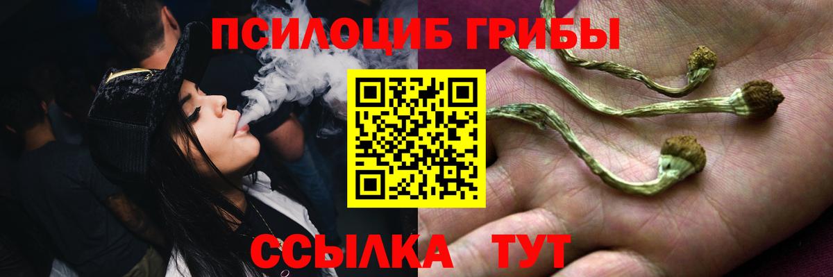 Псилоцибиновые грибы GOLDEN TEACHER  Вход с VPN  наркота  Анапа 